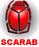 Scarab